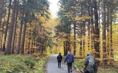 Poslední vycházka sezóny: Pomníčky kolem Zátiší