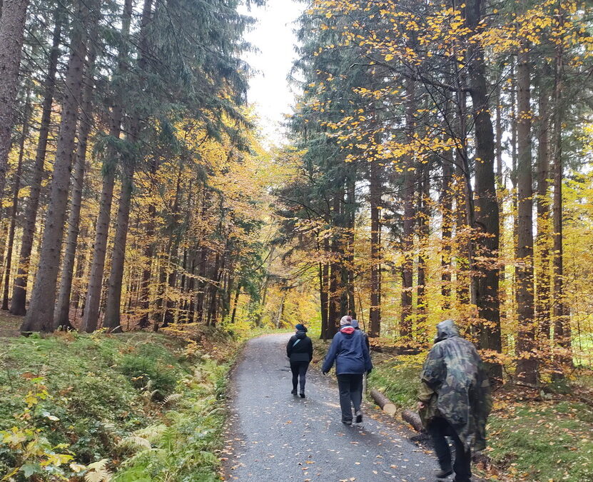 Poslední vycházka sezóny: Pomníčky kolem Zátiší